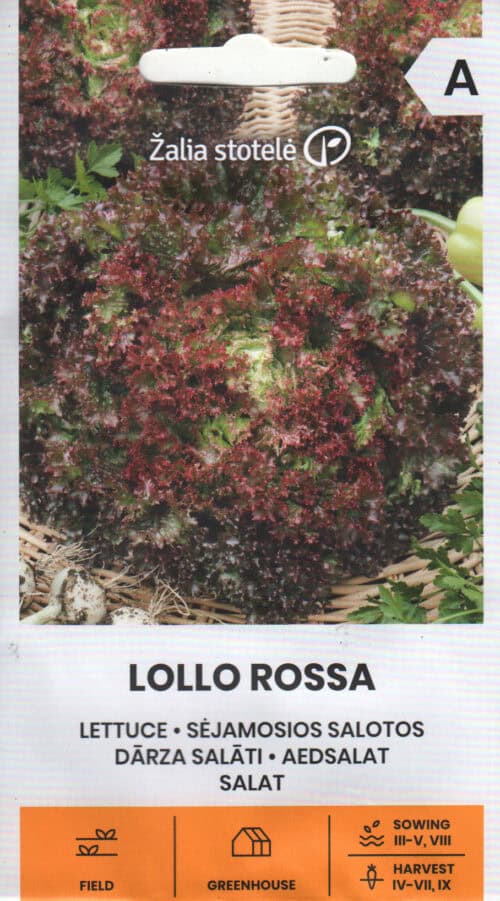 Lehtsalat "Lollo Rossa"