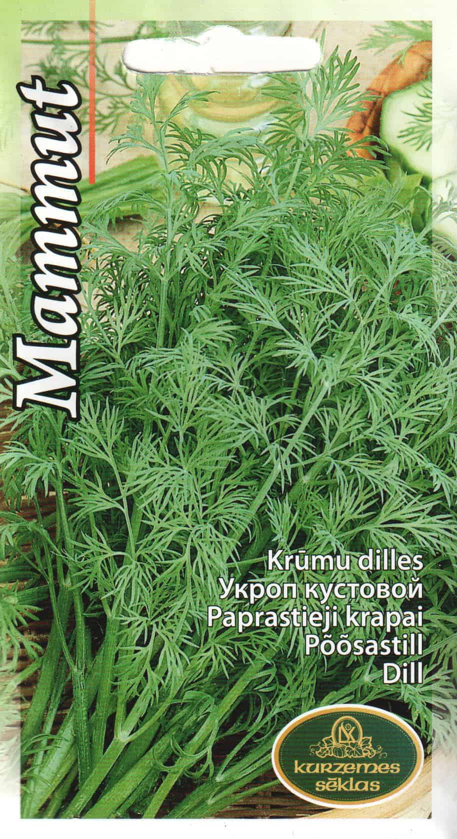 Aedtill "Mammoth" / "Mammut"