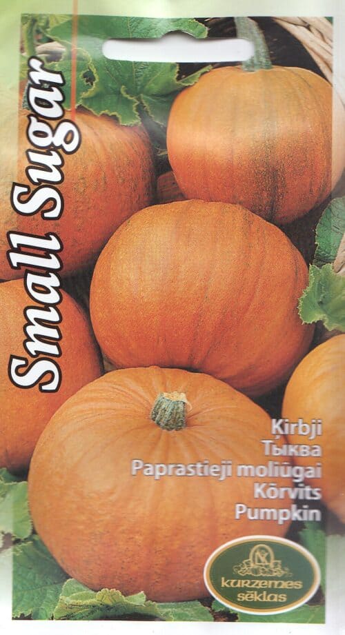 Kõrvits "Small Sugar"