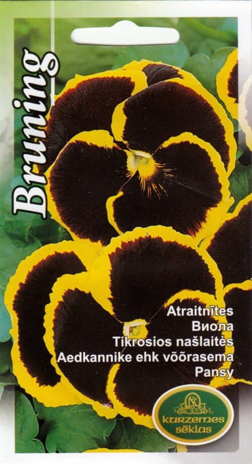 Võõrasema "Bruning"
