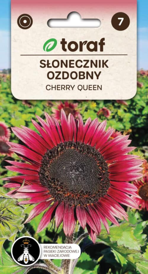 Harilik päevalill "Cherry Queen"