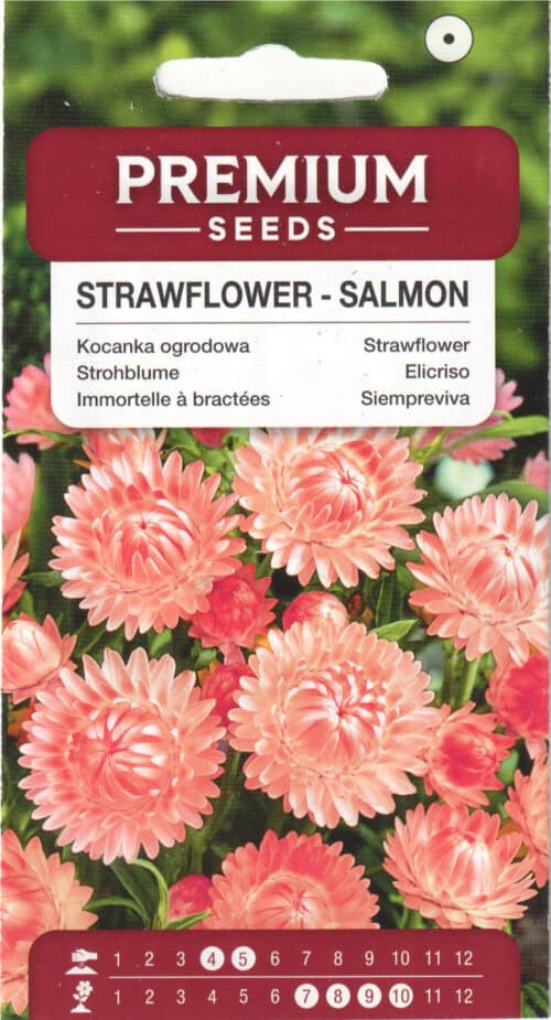 Õlelill "Salmon"