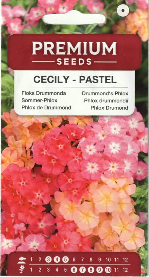 Suvi-leeklill "Cecily"