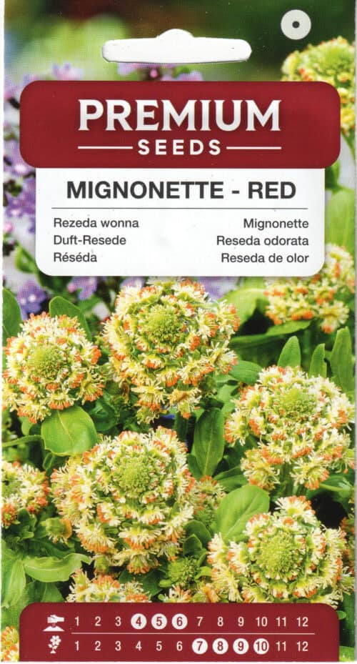 Lõhnav reseeda "Mignonette - Red"