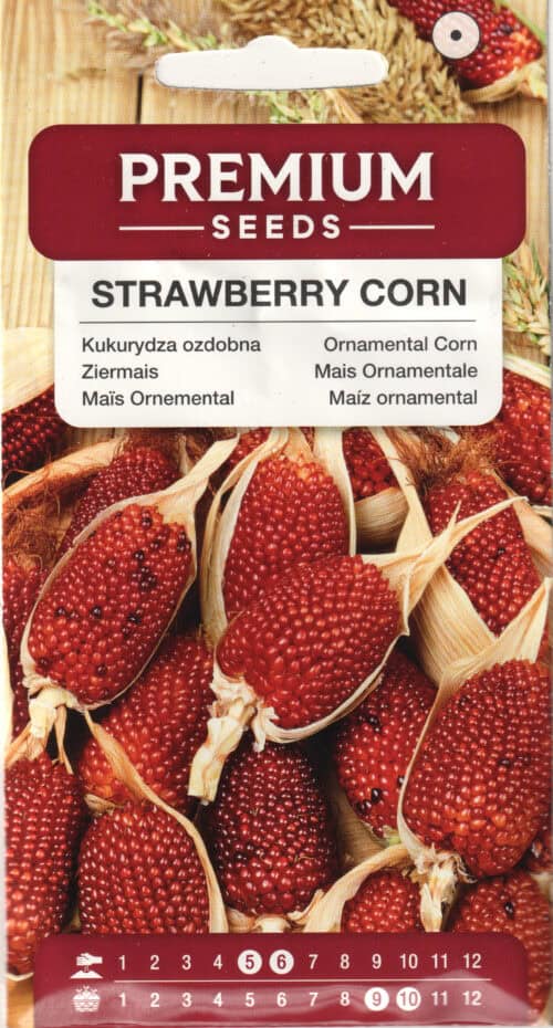 Dekoratiivmais "Red Strawberry Corn"