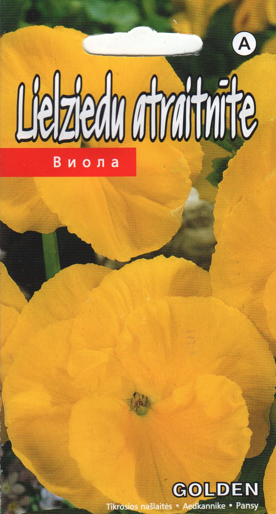 Võõrasema "Golden"