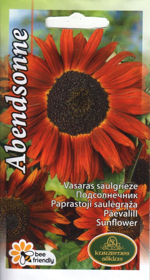 Harilik päevalill "Abendsonne"