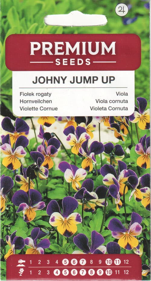 Sarvkannike "Johny Jump Up"