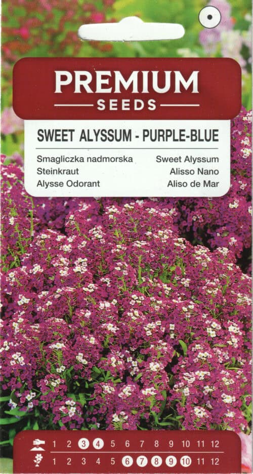 Rand-kivikilbik "Purple-Blue"