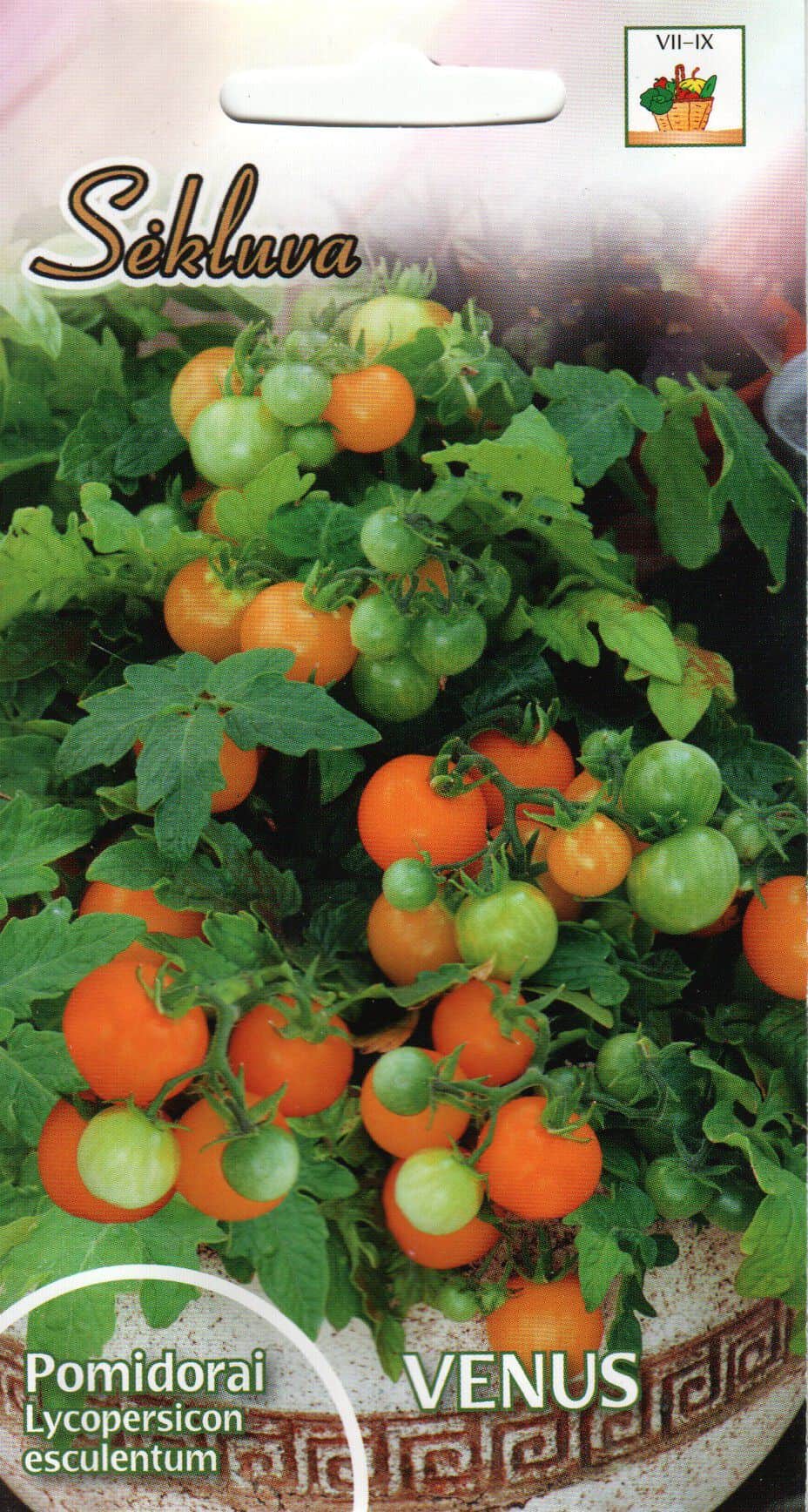 Tomat "Venus"