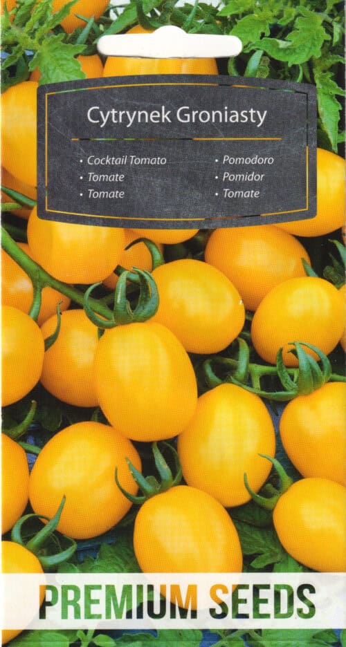 Tomat "Cytrynek Groniasty" / " Citrus Grape"