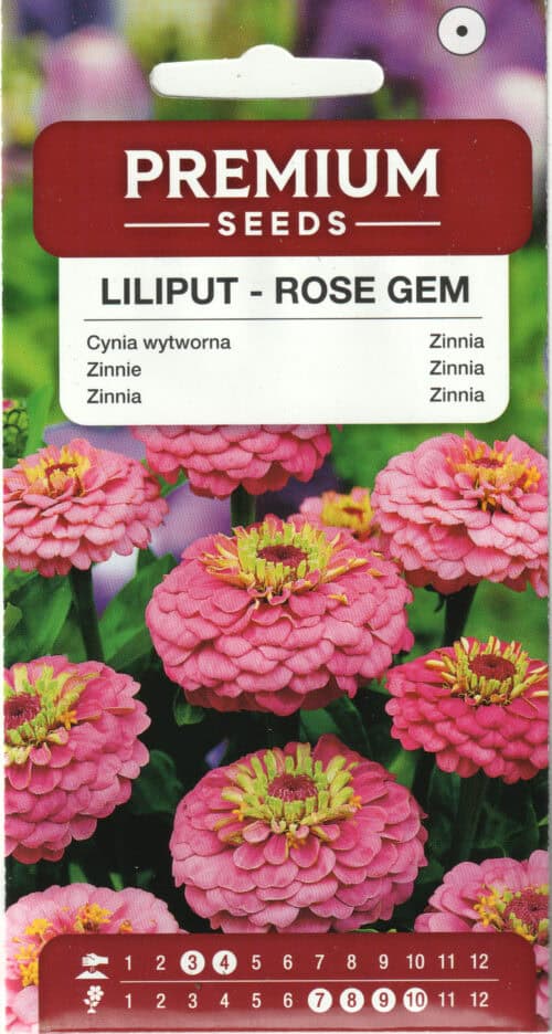 Harilik pruudisõlg “Liliput Rose Gem”