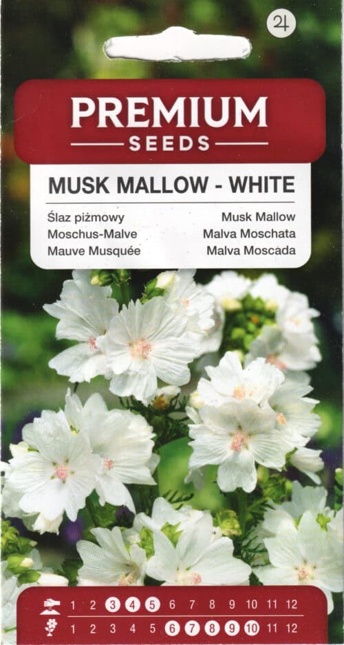 Muskus-kassinaeris "White Musk"