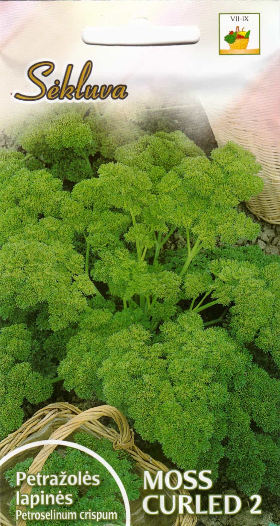 Käharpetersell  "Moss Curled 2"