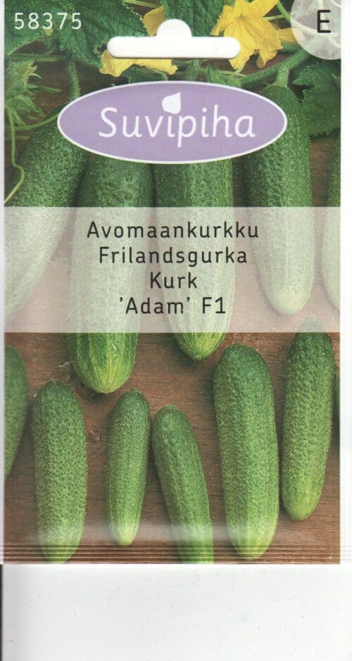 Avamaakurk "Adam" F1