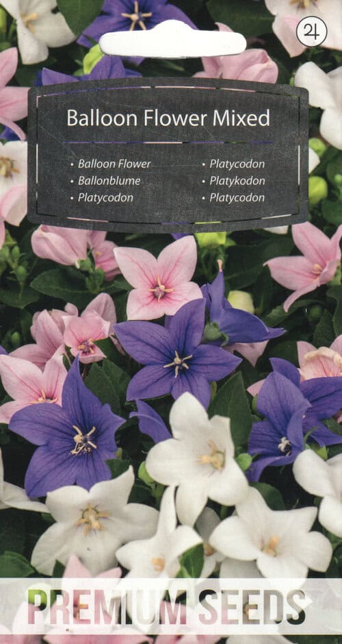 Suureõieline laikellukas segu