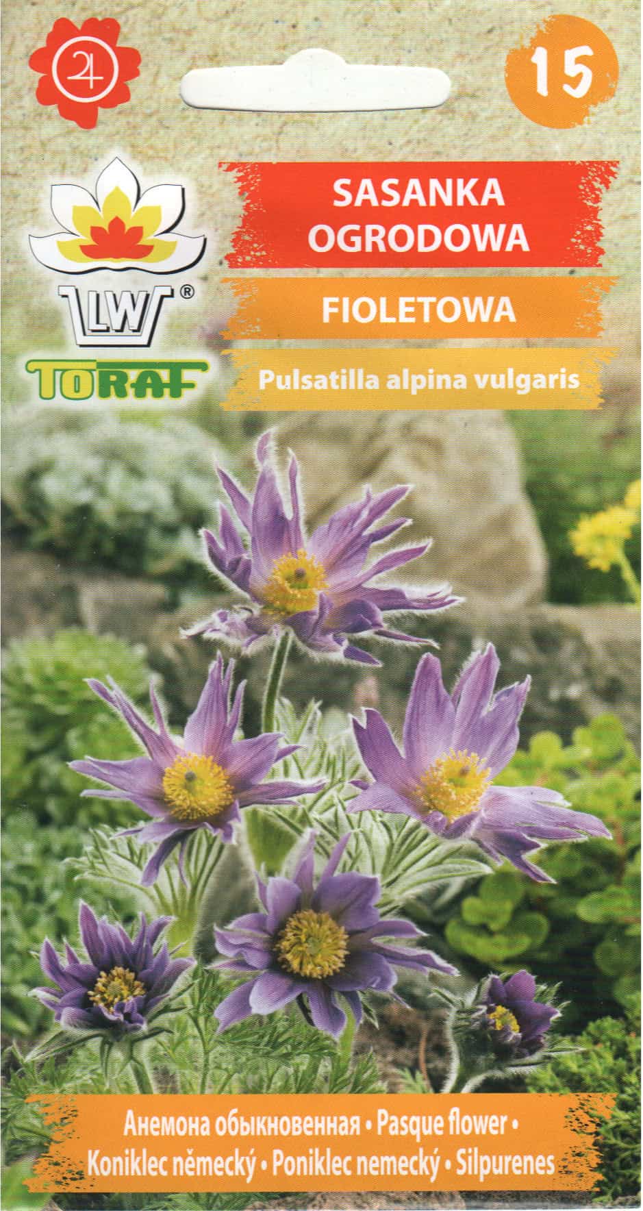 Alpi karukell lilla