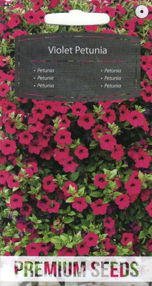 Violetne petuunia