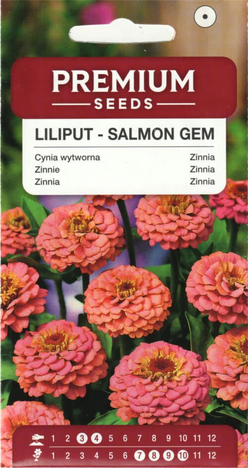 Harilik pruudisõlg "Liliput Salmon Gem"
