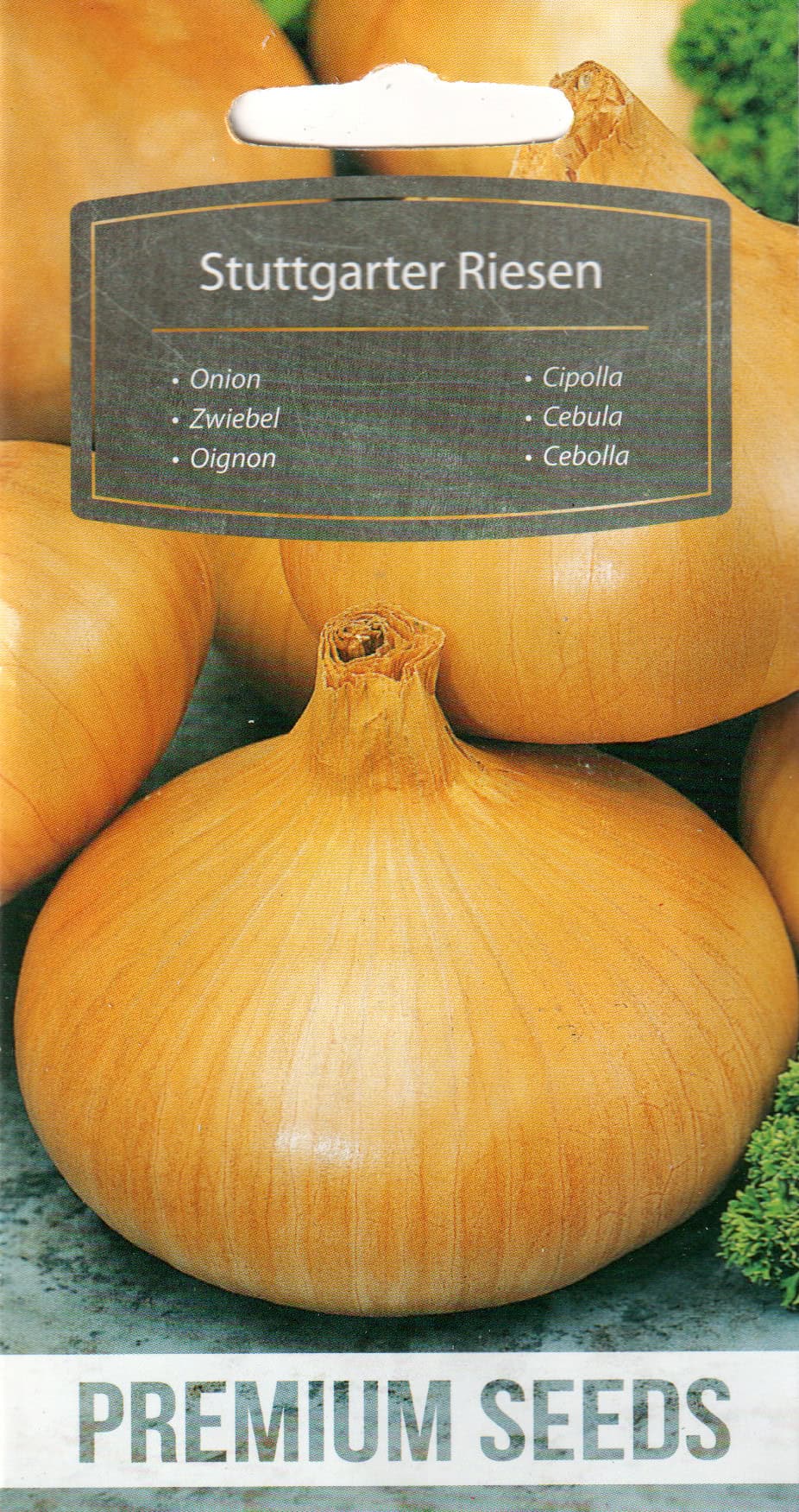 Sibul "Stuttgarter Riesen"