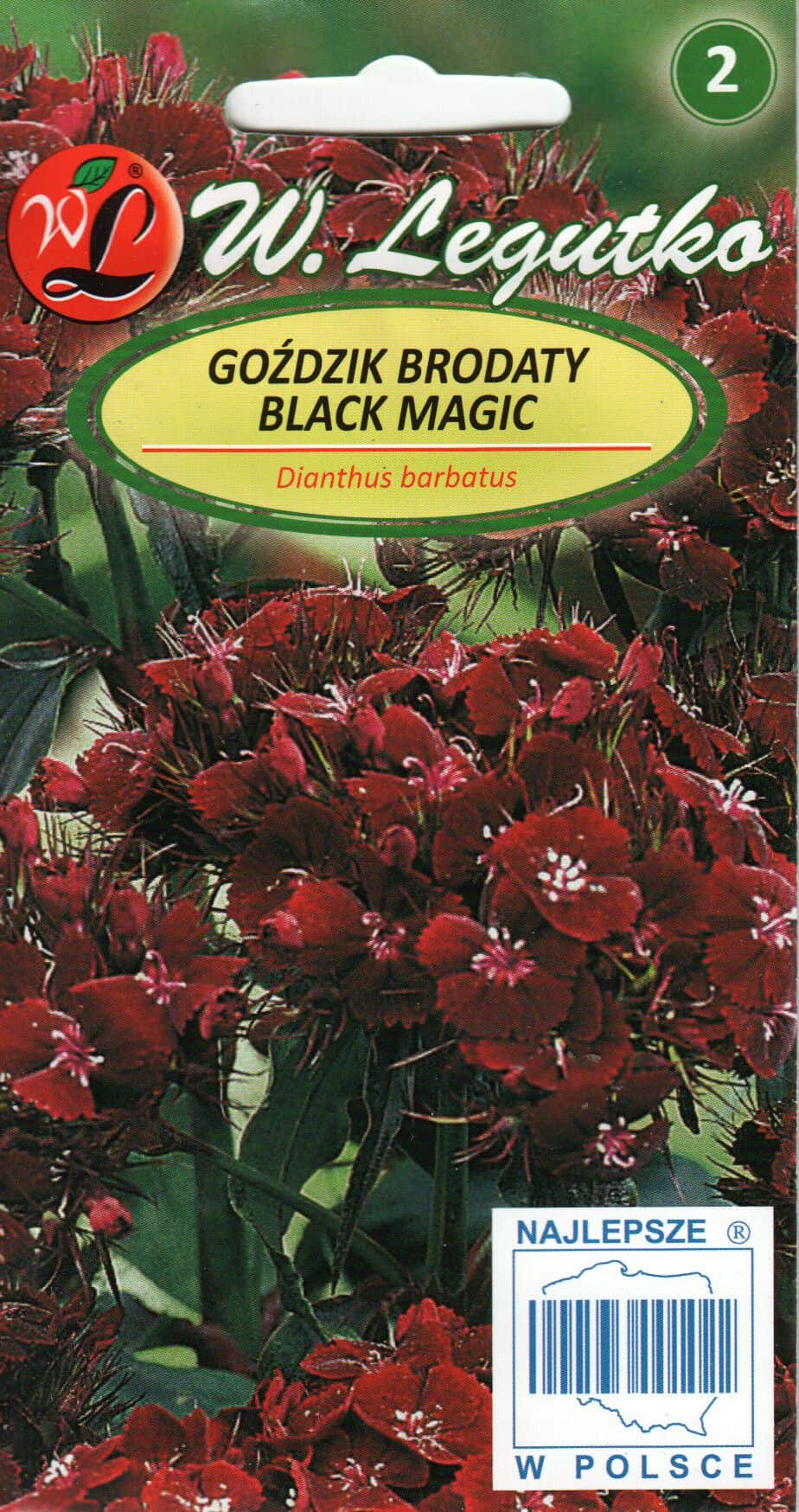 Habenelk "Black Magic"