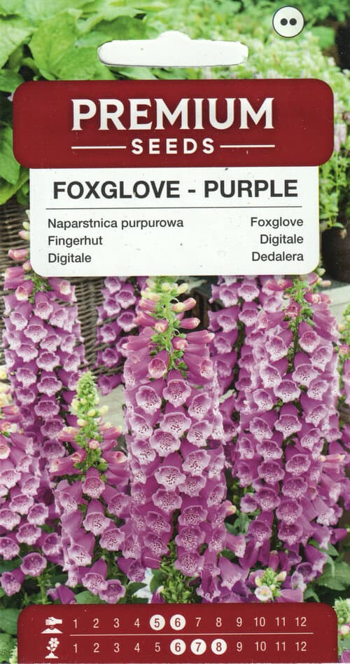 Verev sõrmkübar  "Purple"