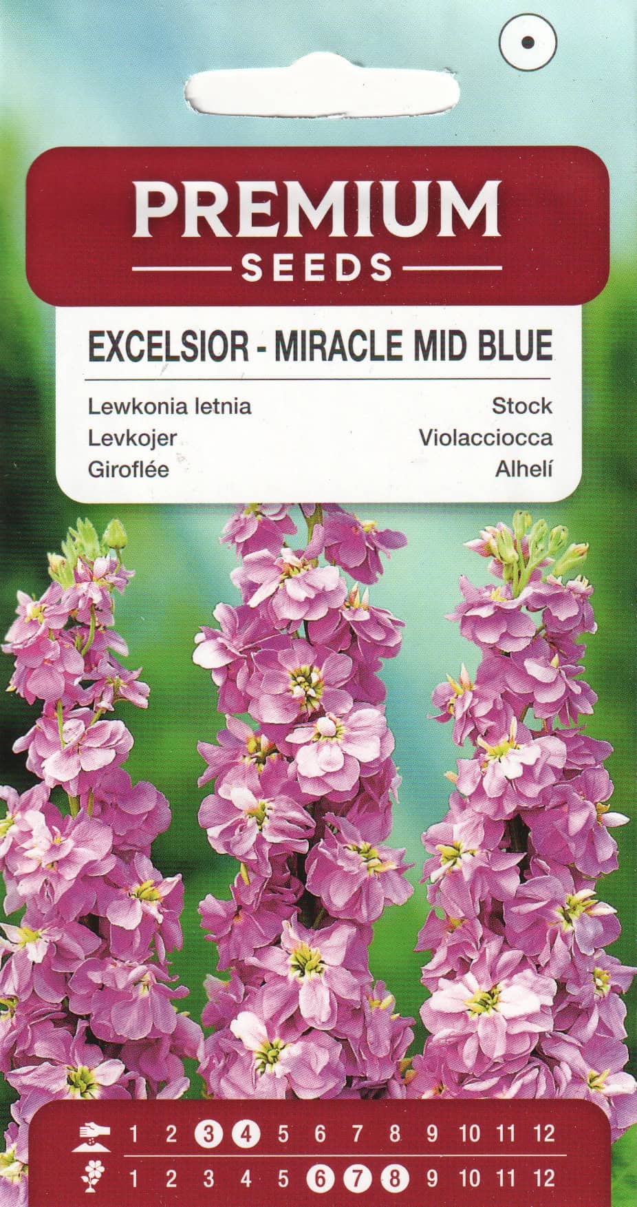 Levkoi "Excelsior Miracle Mid Blue"