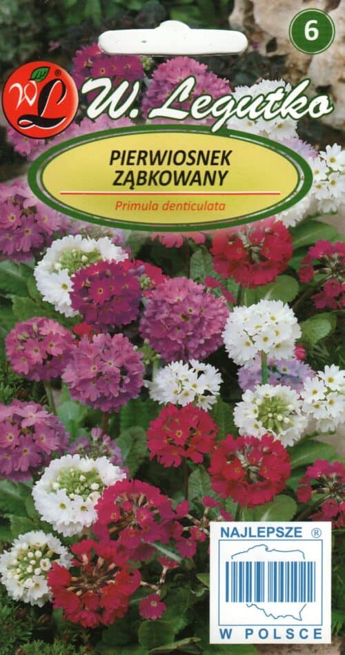 Hambulislehine priimula segu