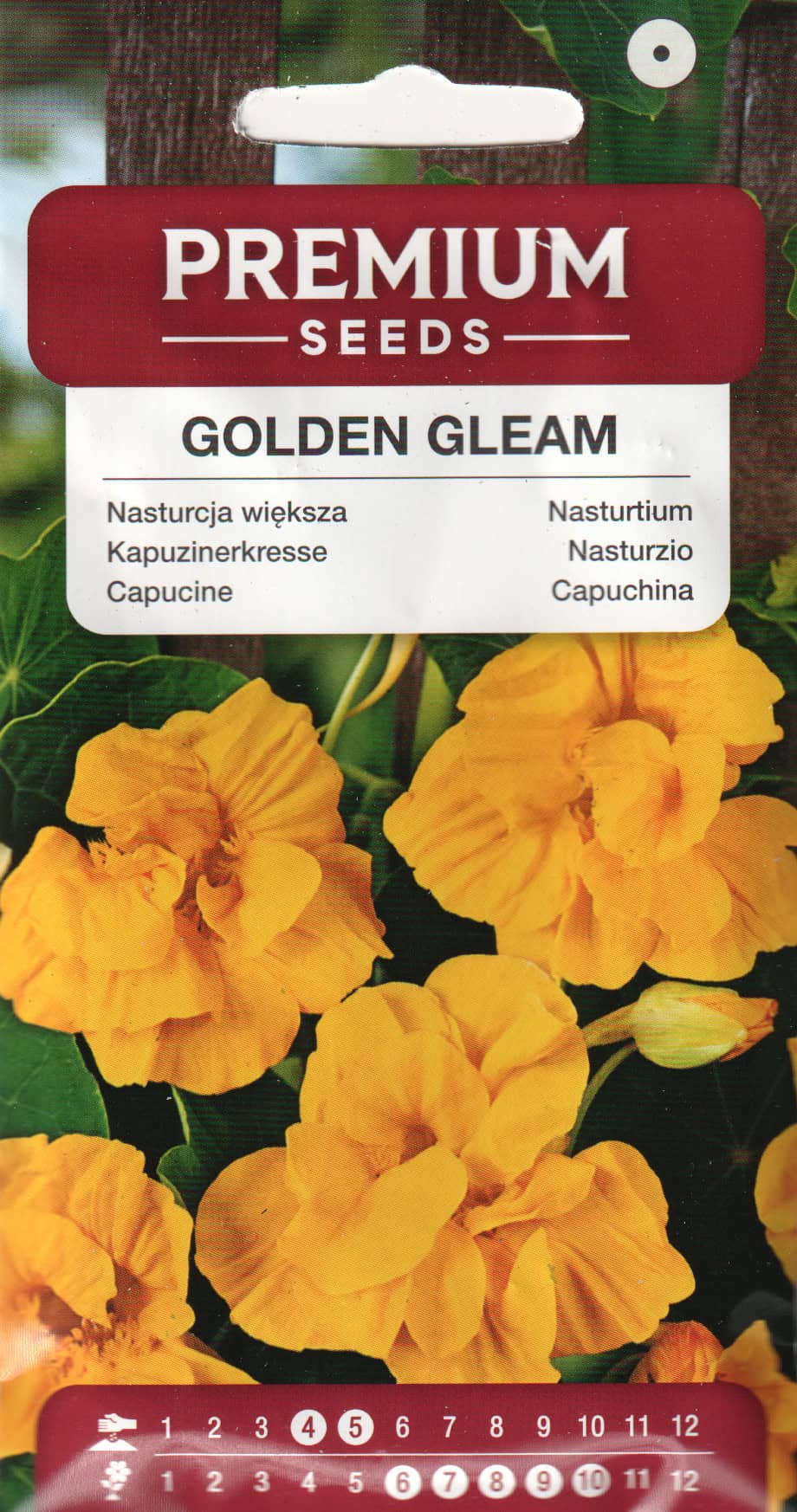 Suur mungalill  "Golden Gleam"