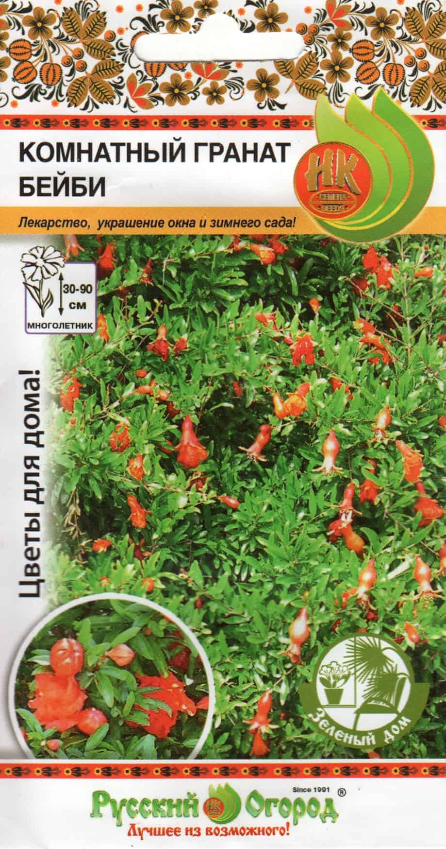 Harilik granaadipuu "Dwarf"