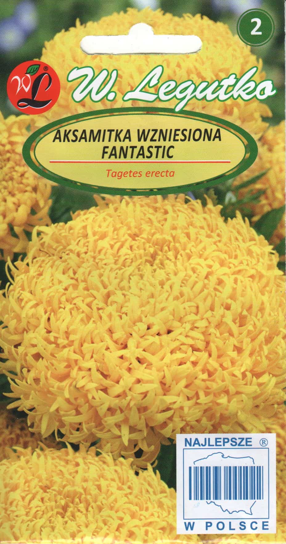 Peiulill "Fantastic"