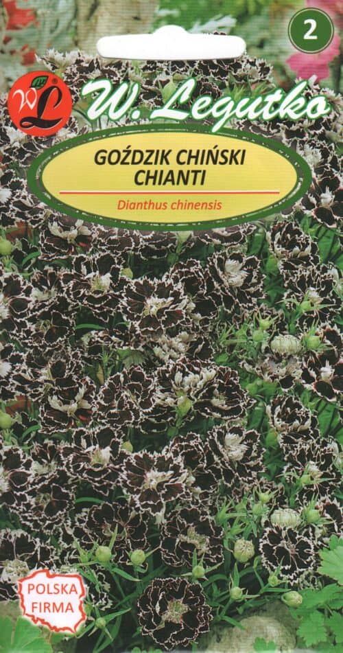 Hiina nelk mustjas-punane "Chianti"