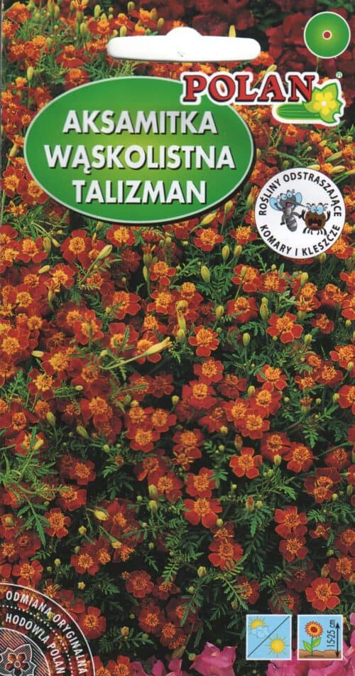 Ahtalehine peiulill mahagonpunane