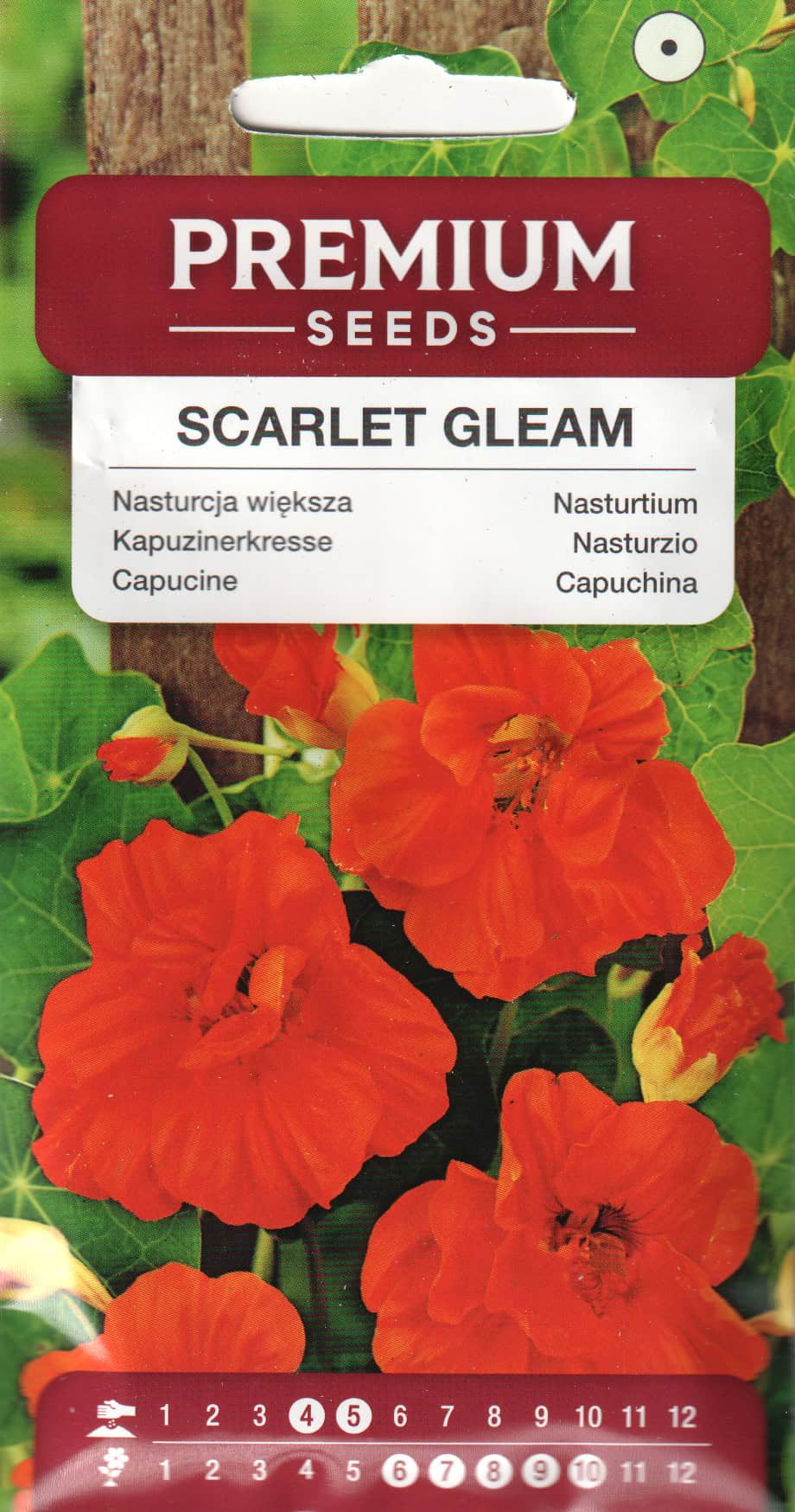 Suur mungalill  "Scarlet Gleam"