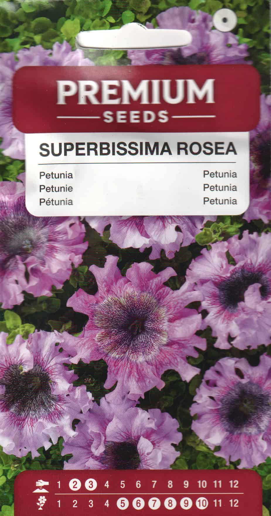 Petuunia "Superbissima Rosea" F1