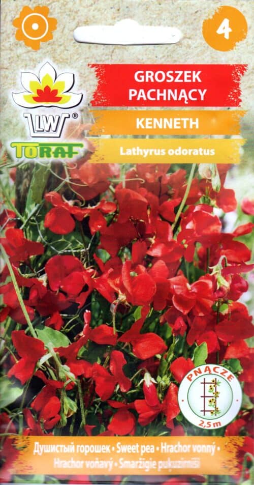 Lõhnav lillhernes "Kenneth"