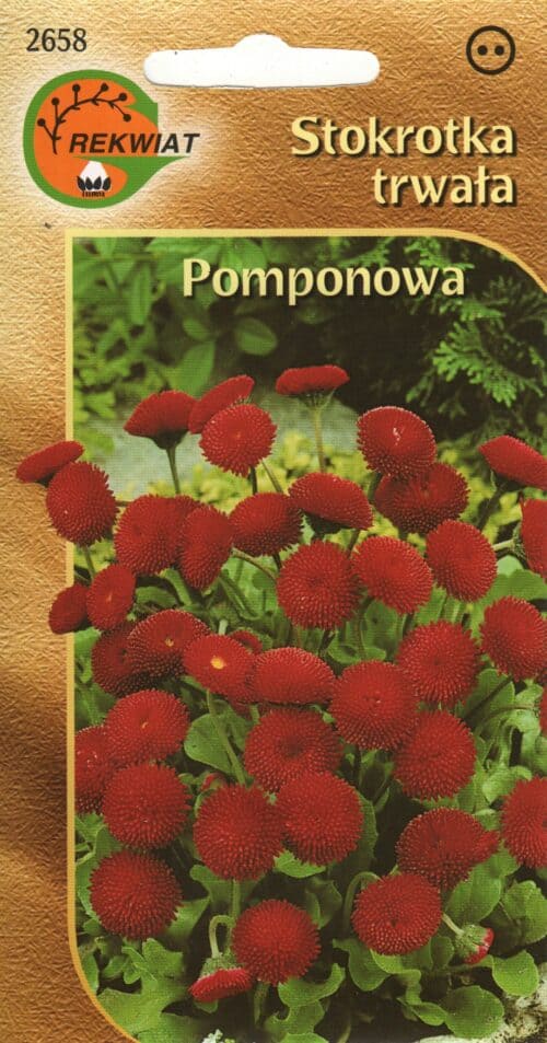 Harilik kirikakar "Pomponette" punane