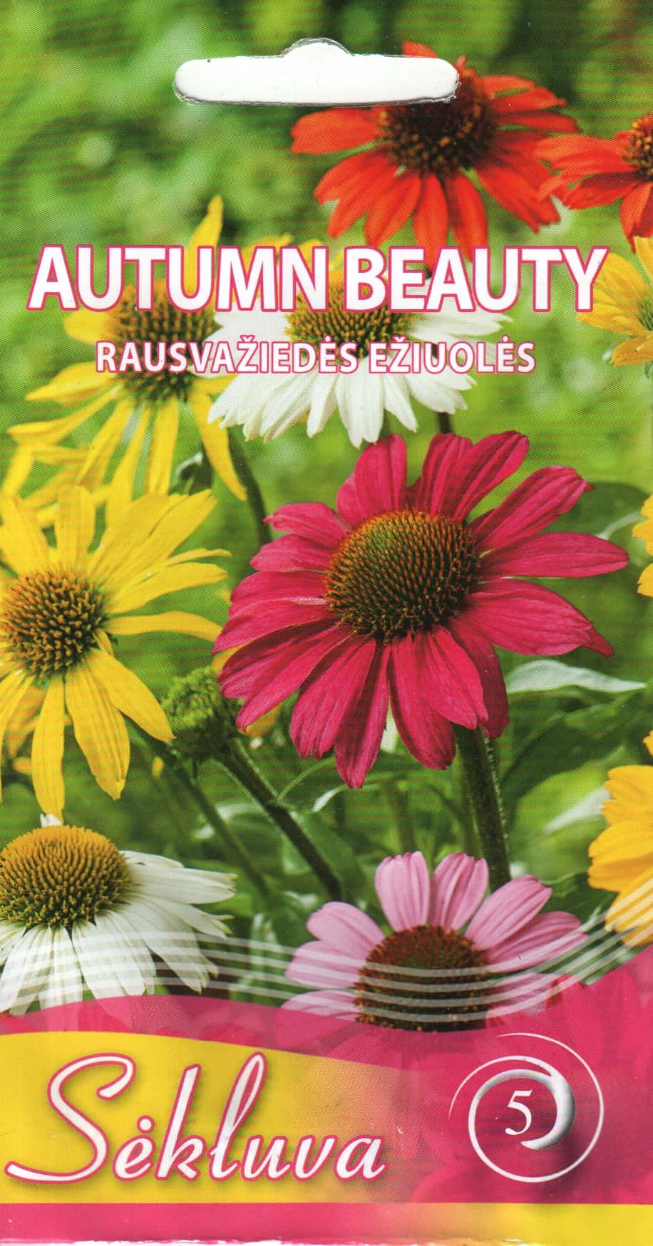 Punane siilkübar "Autumn Beauty"