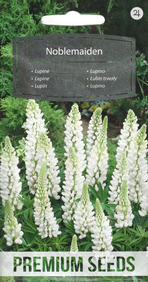 Hulgalehine lupiin "Noblemaiden"