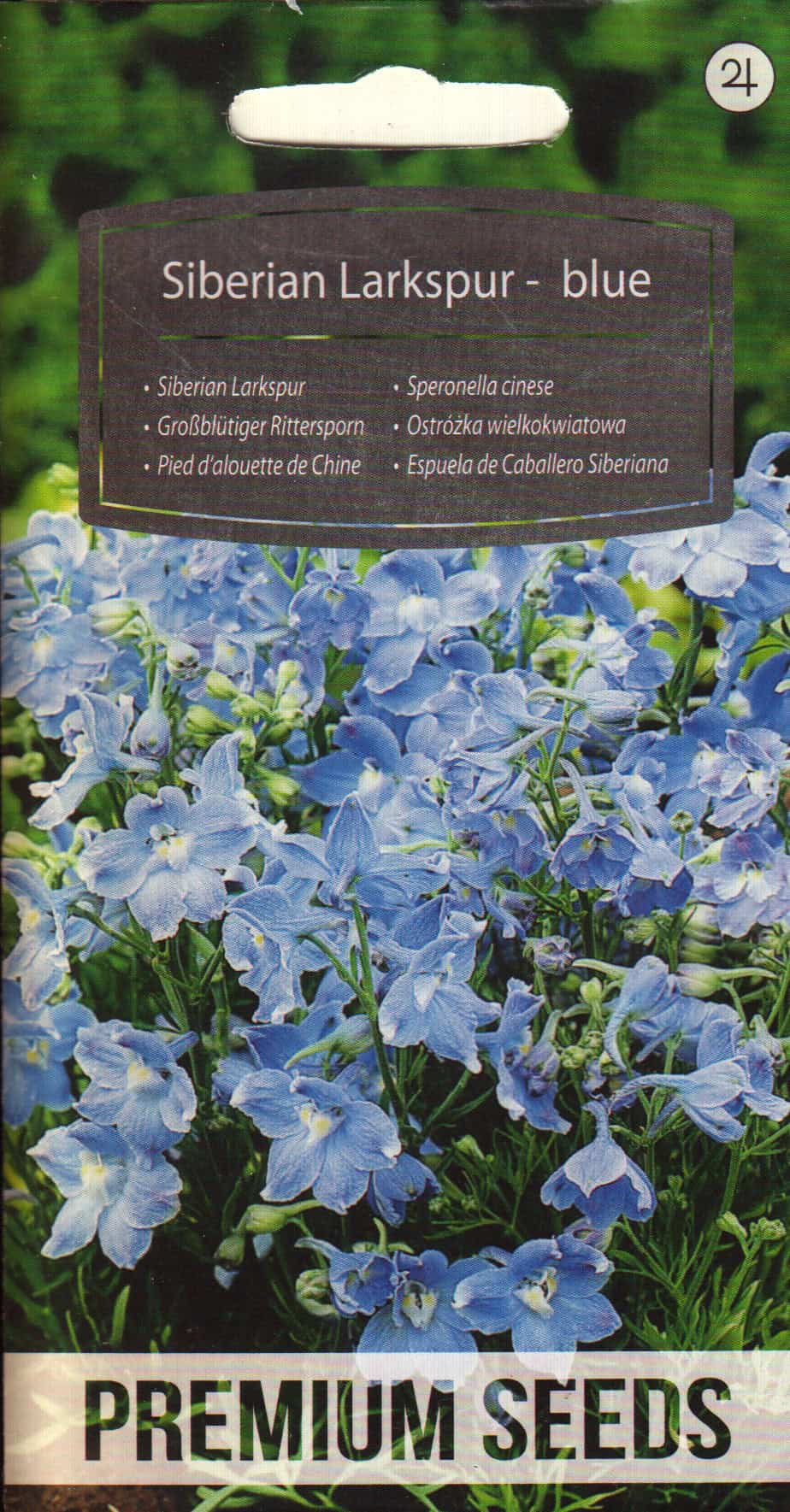 Suureõiene kukekannus kääbus sinine