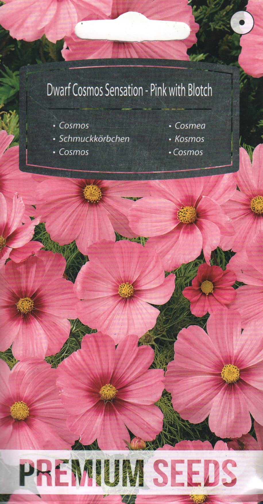 Kosmos "Dwarf Sensation Pink with Blotch"