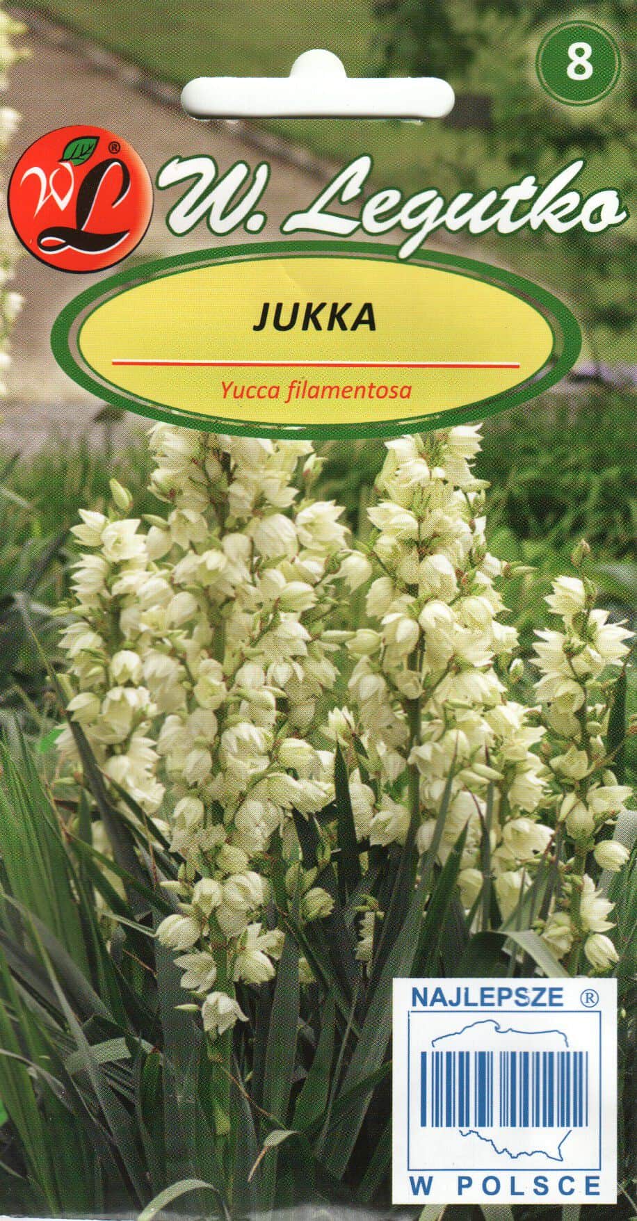 Kiuline tääkliilia