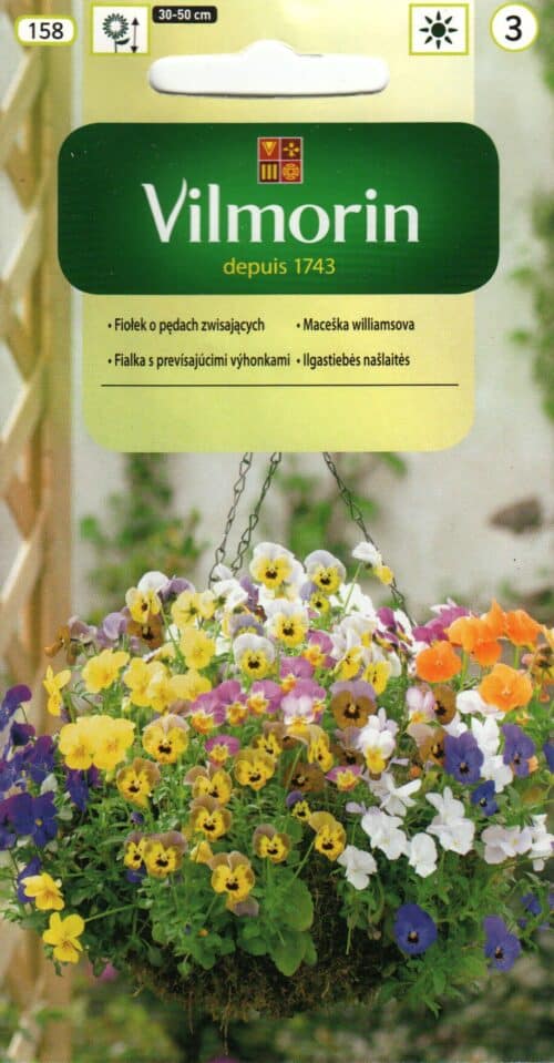 Amplikannike segu