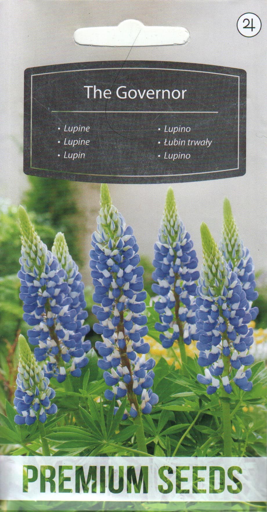 Hulgalehine lupiin "The Governor"
