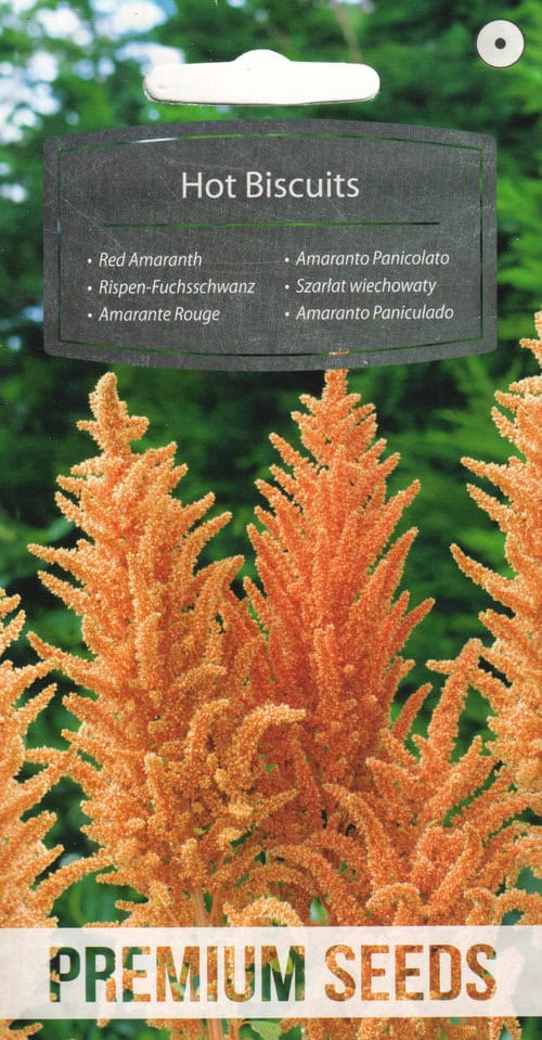 Verev rebashein "Hot Biscuits"