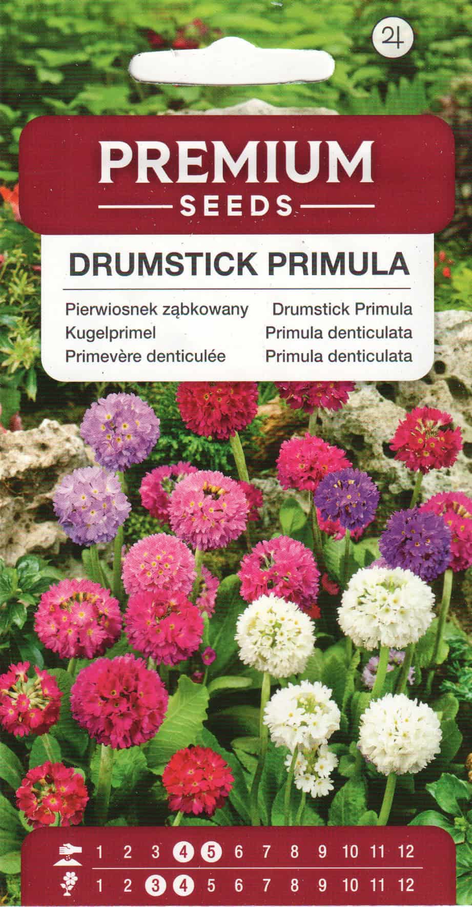 Hambulislehine priimula segu