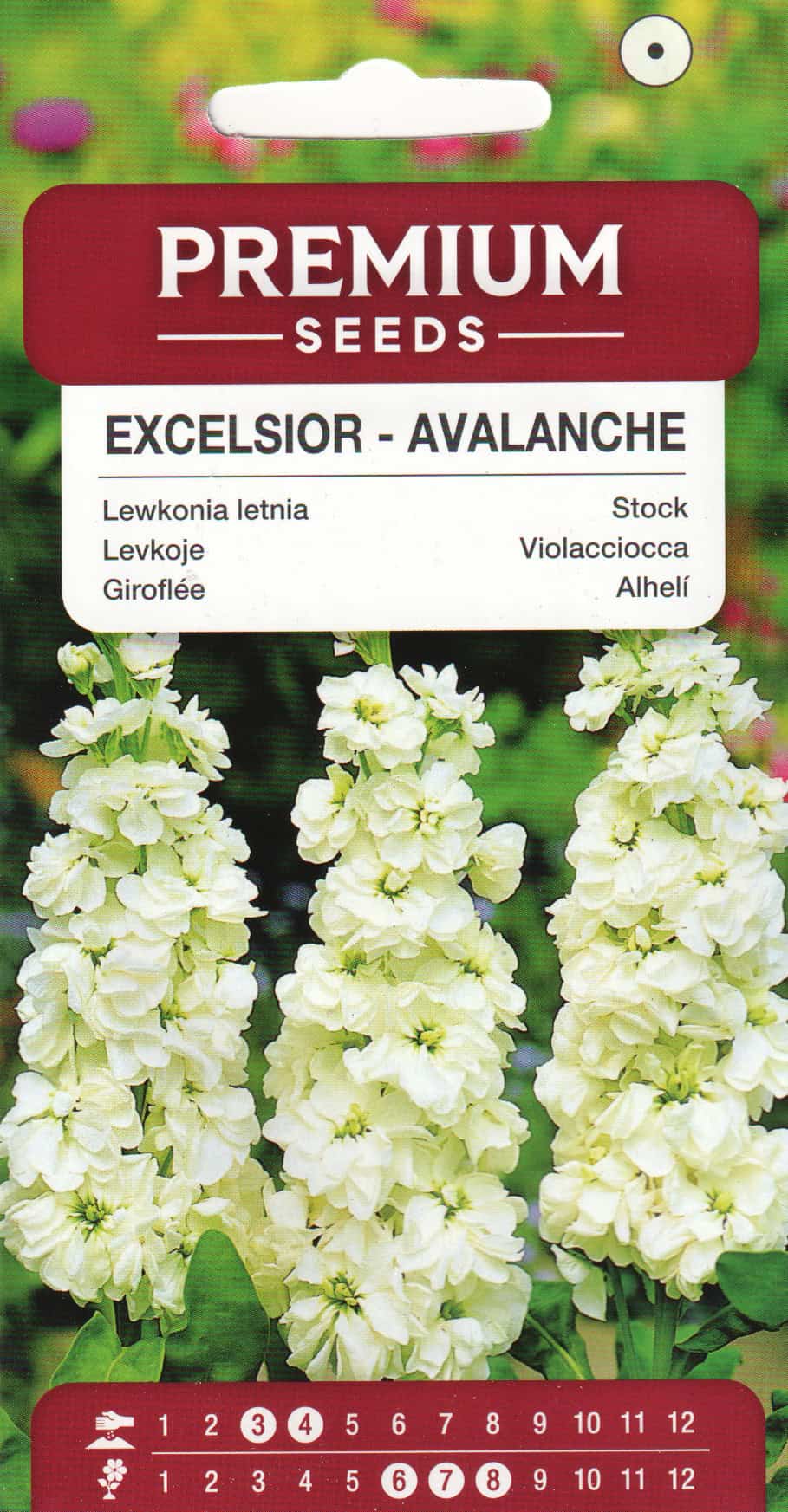 Levkoi "Excelsior Avalanche"