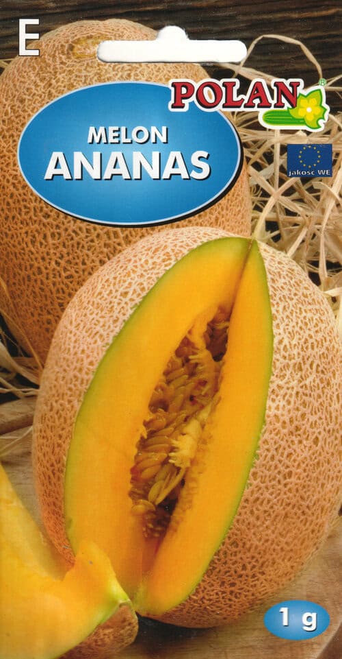 Melon "Ananas"