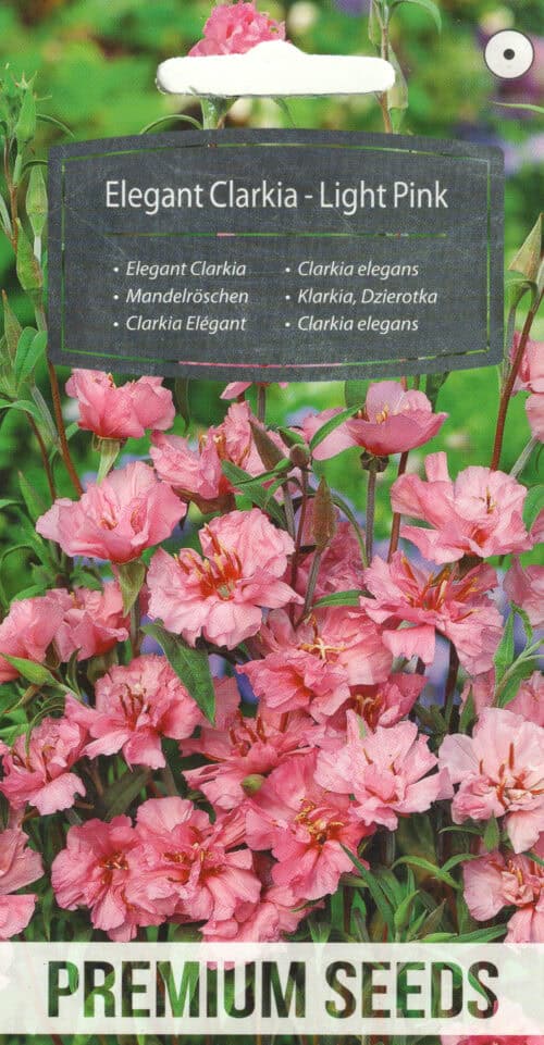 Elegantne klarkia "Light Pink"