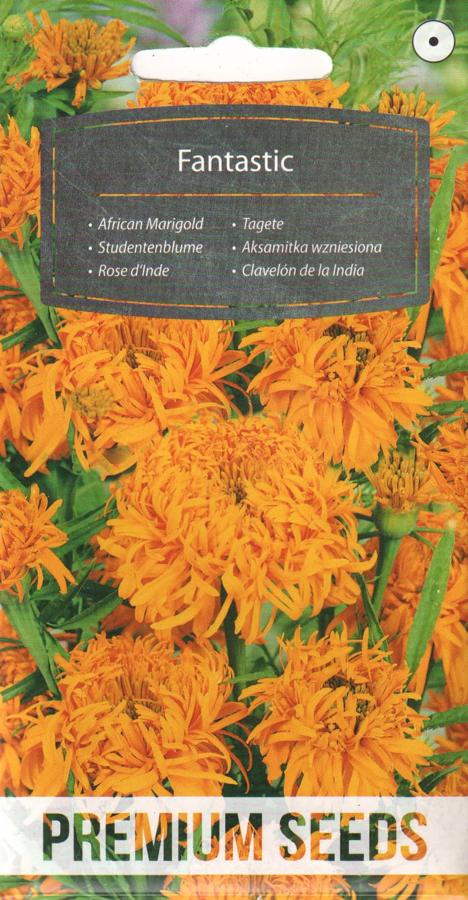 Peiulill "Fantastic"